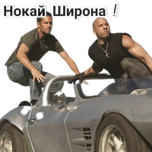 Sticker TorettoA9 - 1