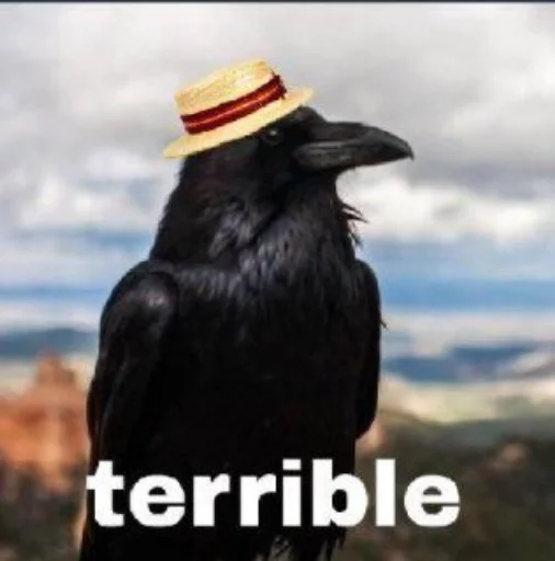 Стикер Tortillaland By: @TortillalandStickers - 3