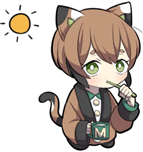 Tortoiseshell Kitten - 