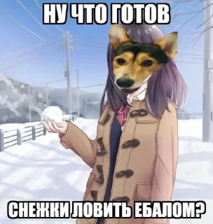 Стикер Сигма Тома @MoiStikiBot - 3