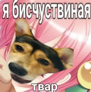 Стикер Сигма Тома @MoiStikiBot - 5