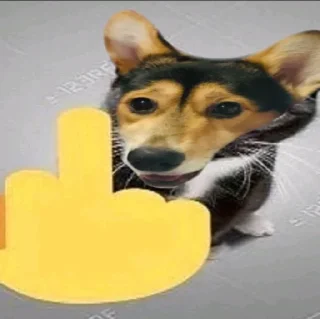 Стикер Сигма Тома @MoiStikiBot - 9