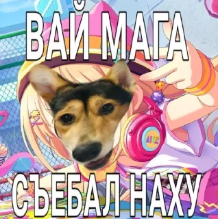 Стикер Сигма Тома @MoiStikiBot - 7