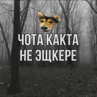 Стикер Сигма Тома @MoiStikiBot - 6