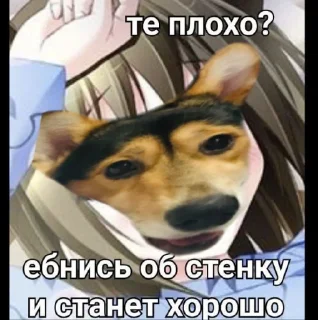 Стикер Сигма Тома @MoiStikiBot - 2