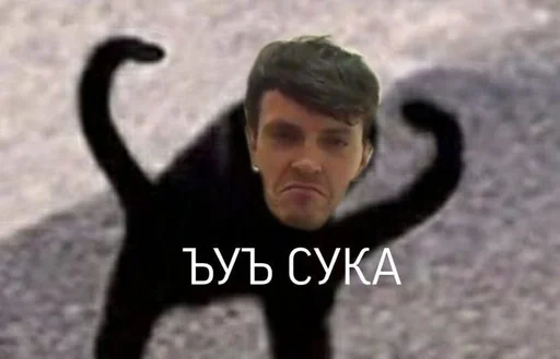 животное млекопитающее мужчина