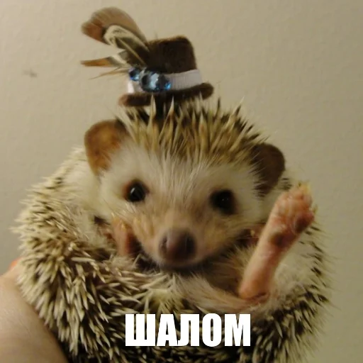 Sticker ToxicYozh - 1