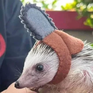 Стикер ToxicTheHadgehog - 11