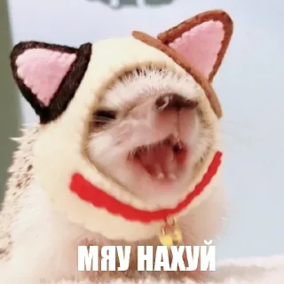 Стикер ToxicTheHadgehog - 7