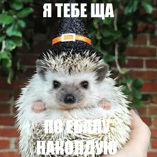 Стикер ToxicTheHadgehog - 6