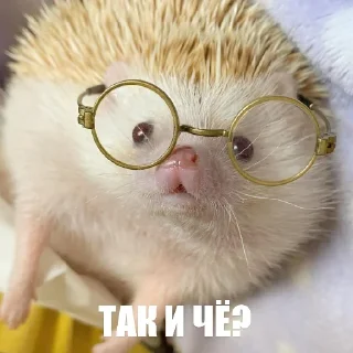 Стикер ToxicTheHadgehog - 2