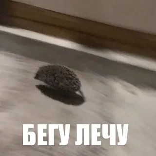 Стикер ToxicTheHadgehog - 9