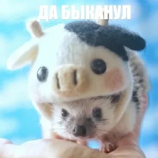 Стикер ToxicTheHadgehog - 10