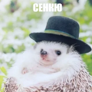 Стикер ToxicTheHadgehog - 0