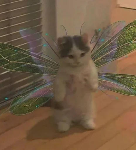 Sticker TrCpNekndFSxC_by_stickers_stealer_bot - 1