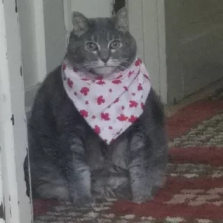 Sticker Больше стикеров 👉🏻 @stickertg4 - 2