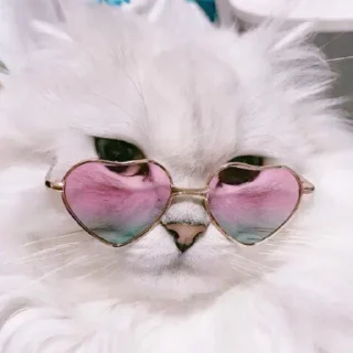 Sticker Больше стикеров 👉🏻 @stickertg4 - 7