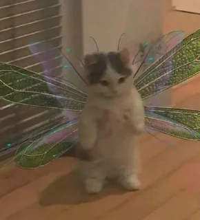 Sticker Больше стикеров 👉🏻 @stickertg4 - 5