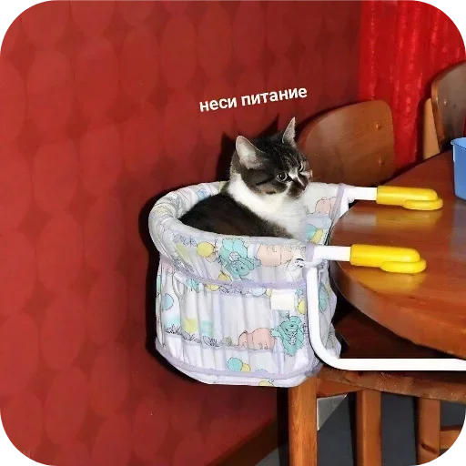 Sticker TrPFtOq_by_achestickbot - 1