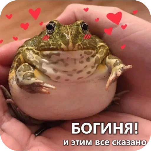 Sticker TrPFtOq_by_achestickbot - 1