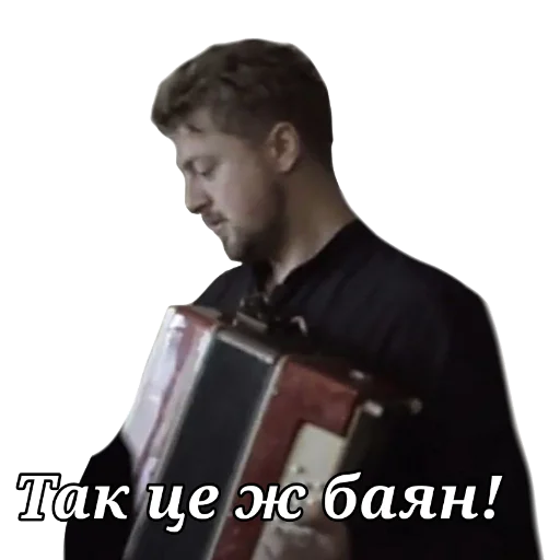 music accordion musical instrument