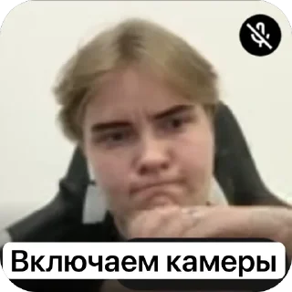 Sticker Трафик да Сократ - 9