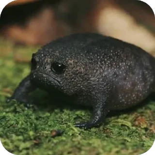 Sticker Трафик да Сократ - 7