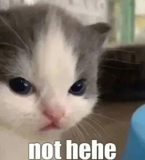 Стикер TrainAssayBangs_by_fStikBot - 1