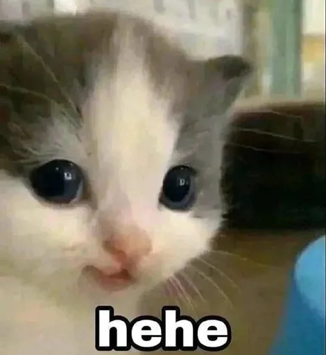 Sticker TrainAssayBangs_by_fStikBot - 1