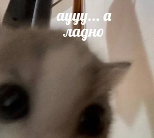 Стикер TrainAssayBangs_by_fStikBot - 1