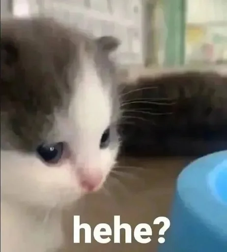 Стикер TrainAssayBangs_by_fStikBot - 1