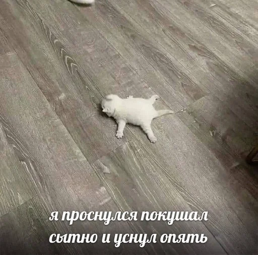 Sticker TrainAssayBangs_by_fStikBot - 1