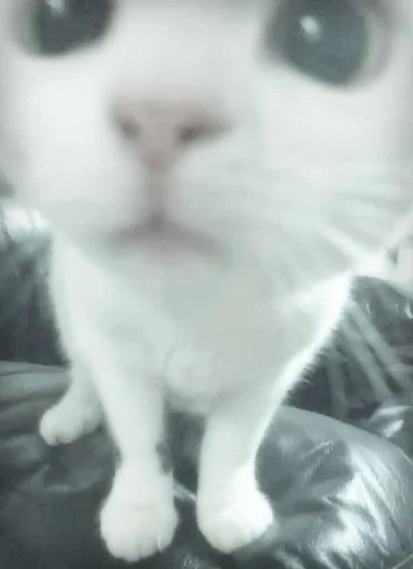 Стикер 7etsuy.a :: @fStikBot - 10