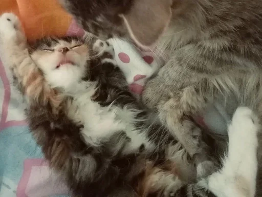 Стикер 7etsuy.a :: @fStikBot - 9