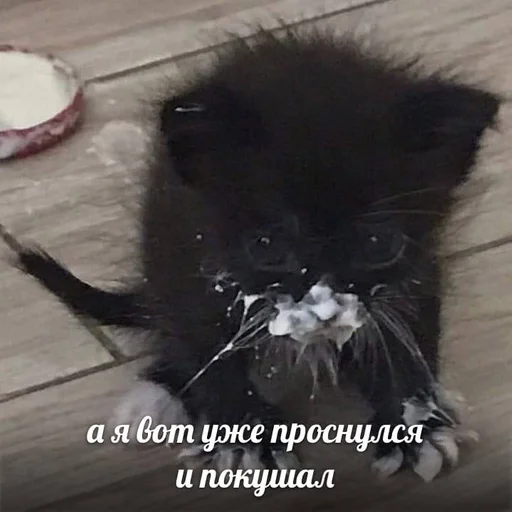 Стикер 7etsuy.a :: @fStikBot - 8