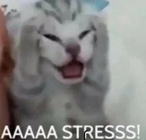 Стикер 7etsuy.a :: @fStikBot - 3