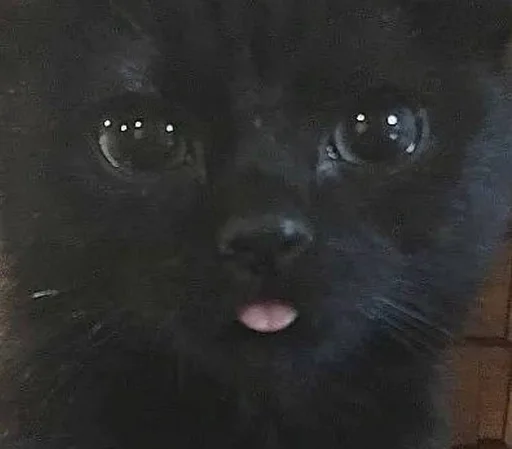 Стикер 7etsuy.a :: @fStikBot - 2