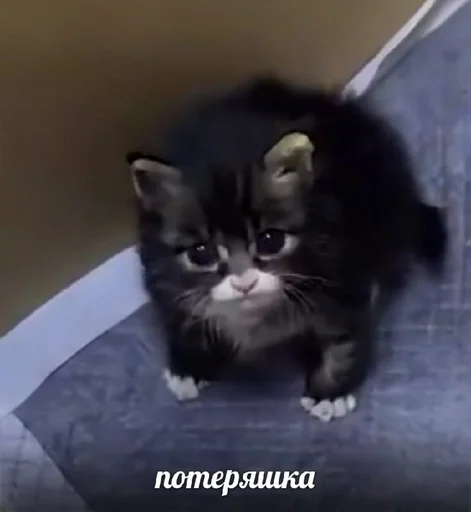 Стикер 7etsuy.a :: @fStikBot - 0