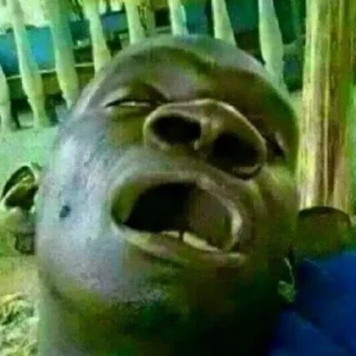 Sticker Trending Memes by @UzRekordlar - 4