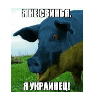 Sticker travlya_hohlov - 11