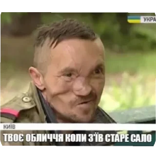 Sticker travlya_hohlov - 5