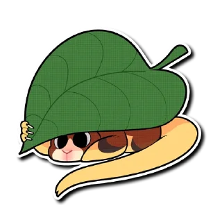 Стикер Tree Kangaroo - 7