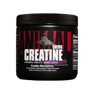 Стикер Спортпит @StickersDVM - 3