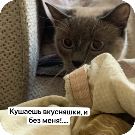 Sticker TreshOtDiany - 1