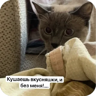 Стикер Треш от Дианы? - 10