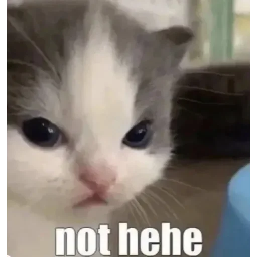 Sticker TriLadoshki - 1