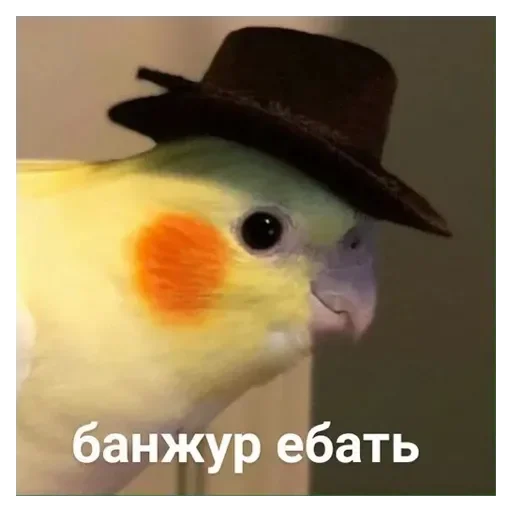 Стикер TriLadoshki - 1