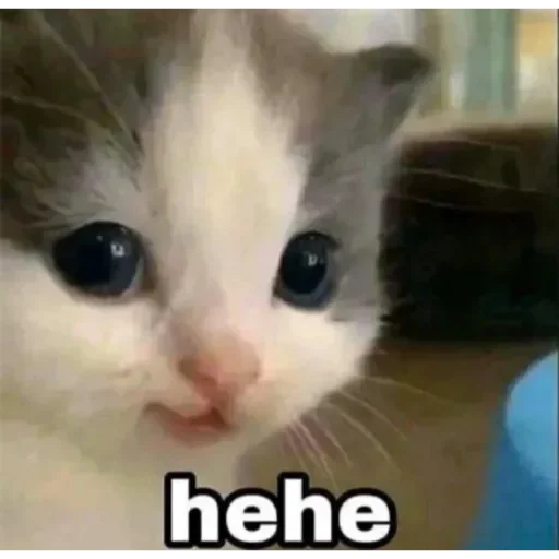 Стикер TriLadoshki - 1