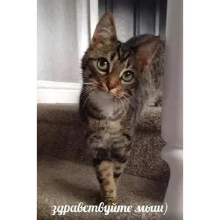 Sticker Три ладошки - 11