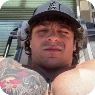 Sticker Лосиные стикеры - 0